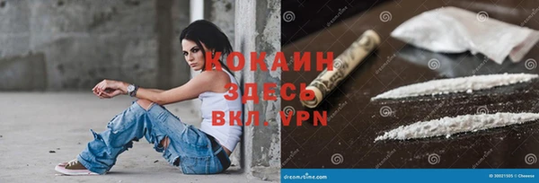 кокс Бородино