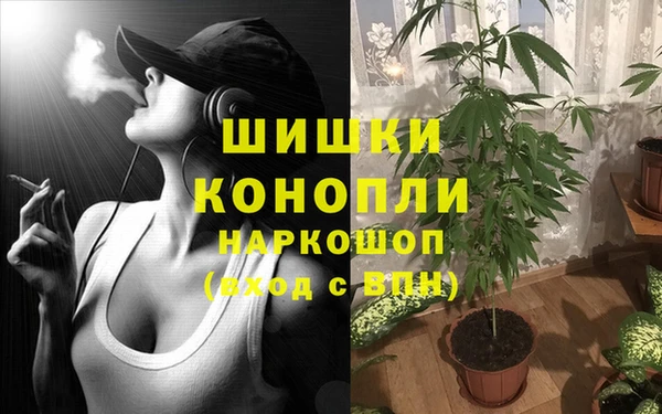 кокс Бородино