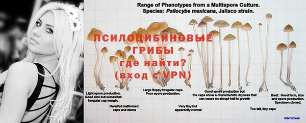 винт Бугульма