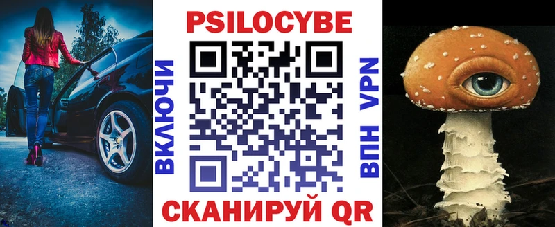 Псилоцибиновые грибы Psilocybe  Купить где  Болгар 